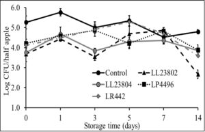 Listeria survival on LAB treated cut-apples under ambient storage at high pathogen load