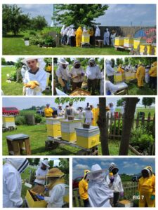 7 photos of Community Education Seminars showing open and closed hives, students and community members wearing bee suits looking at hives and frames and bees.