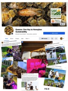 Queens: One Key to Honeybee Sustainability Facebook Page