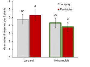 Natural enemies in living mulch versus bare soil.