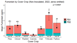 Fig. 10. Total mean fumonisin (FB1 + FB2) by cover crop legacy in maize that remained uninoculated in 2022, with zero values removed. Black dots indicate the median total Fumonisin. Treatments followed by the same letter were not significantly different based on the Tukey HSD test at 95% confidence. 