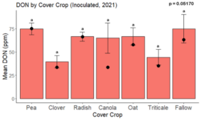Fig. 11. Total mean DON by cover crop legacy in maize inoculated with F. graminearum in 2021. Black dots indicate the median DON. Treatments followed by the same letter were not significantly different based on the Tukey HSD test at 95% confidence.