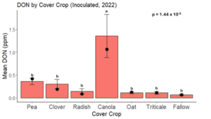 Fig. 12. Total mean DON by cover crop legacy in maize inoculated with F. graminearum in 2022. Black dots indicate the median DON. Treatments followed by the same letter were not significantly different based on the Tukey HSD test at 95% confidence.