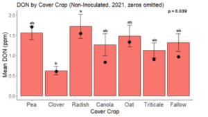 Fig. 13. Total mean DON by cover crop legacy in maize that remained uninoculated in 2021, with zero values removed. Black dots indicate the median DON. Treatments followed by the same letter were not significantly different based on the Tukey HSD test at 95% confidence.