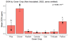 Fig. 14. Total mean DON by cover crop legacy in maize that remained uninoculated in 2021, with zero values removed. Black dots indicate the median DON. Treatments followed by the same letter were not significantly different based on the Tukey HSD test at 95% confidence.