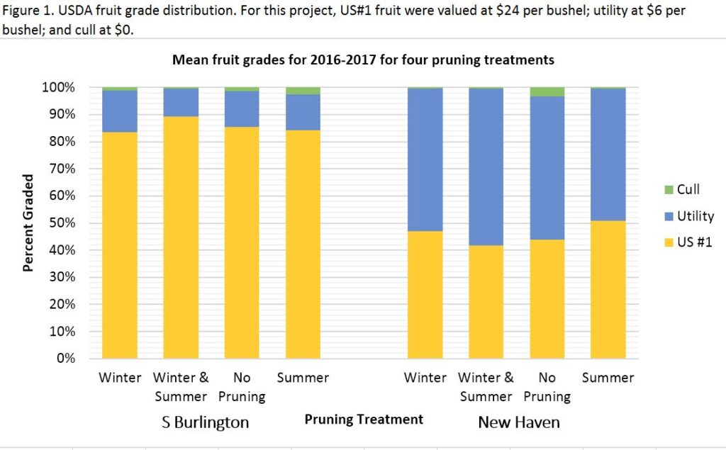 USDA fruit grade distribution by orchard / cultivar and pruning treatment.