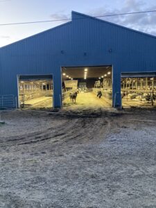 The Andersonvllle Barn at milking time