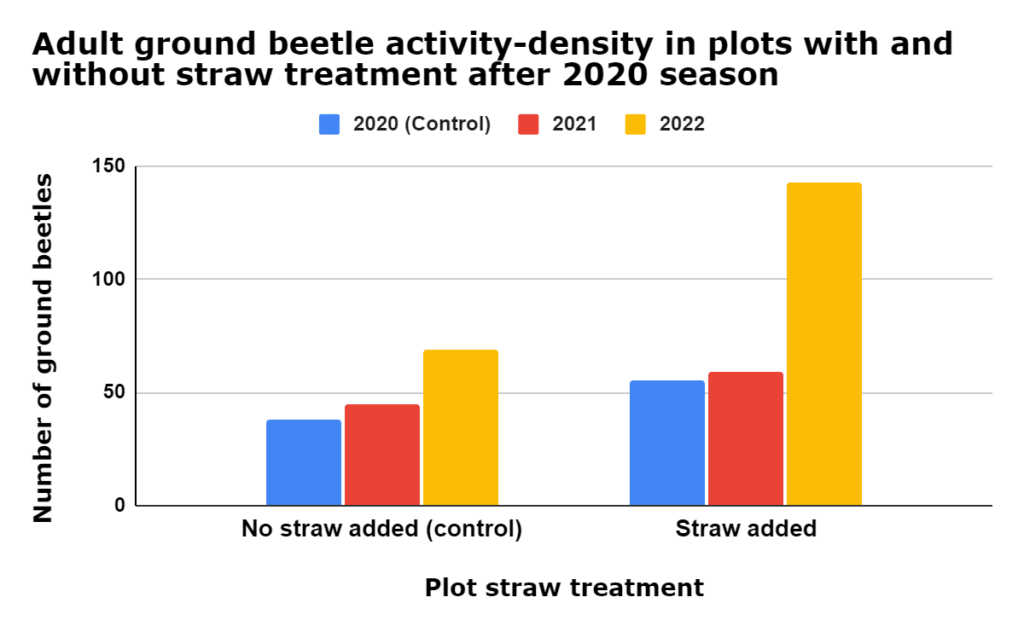 Measured ground beetle activity-density in plots wherein no straw was added in the fall vs. those where straw was added in the fall (p = 0.0061). 