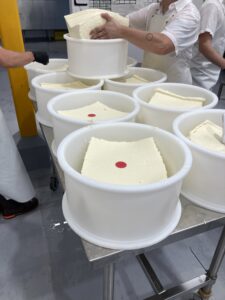 Alpha Tollman alpine cheese blocks after pressing the curds.