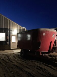 Milk being pumped from milking tanks to milk truck