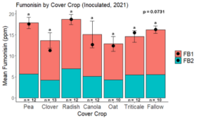Fig. 7.  Total mean fumonisin (FB1 + FB2) by cover crop legacy in maize inoculated with F. verticillioides in 2022. Black dots indicate the median total Fumonisin. Treatments followed by the same letter were not significantly different based on the Tukey HSD test at 95% confidence