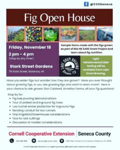 Fig open house flyer. 