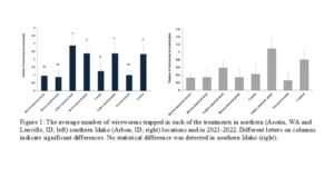 Graph of wireworm counts