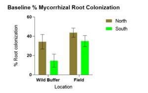 Figure 1. Baseline Mycorrhizal Root Colonization