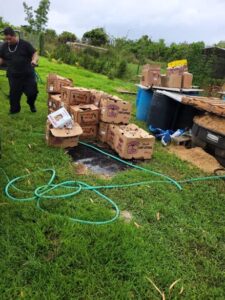 Vegetable and fruit feeds for chicken research