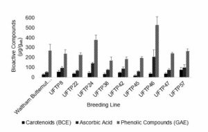 Figure 3-2. Average bioactive compound concentrations for each breeding line plus butternut squash samples.