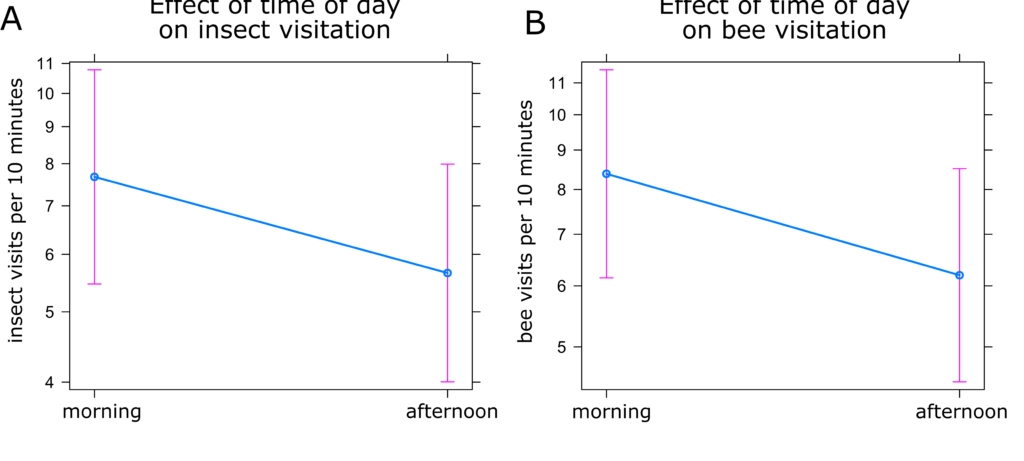 Graphs showing insect and bee visitation decreasing in the afternoon compared to morning.