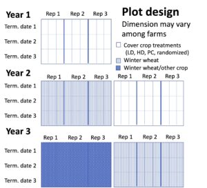 Plot map scheme for each farm over all project years