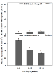 Bar graph showing sidedress (A) HSHT’s Estimated Biological N and (B) Alkaline hydrolyzable N at 0-6, 6-12, and 12-18-inch depths in Jackson location.