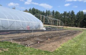 Small carrot plot at DeMotte