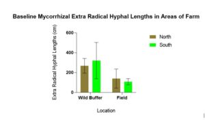 Figure 2 Baseline Mycorrhizal Extra Radical Hyphal Length