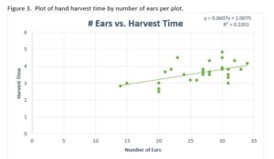 Figure 3.  Plot of hand harvest time by number of ears per plot.