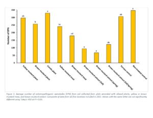 Figure shows the impact of oilseed plants, yellow or brown mustard meal and brown mustard extract on entomopathogenic nematode populations. Brown mustard meal and extracts significantly reduced nematode populations.