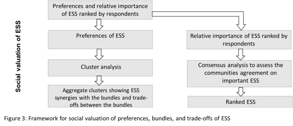 Figure 3 - Framework for social valuation of preferences, bundles, and trade-offs of ESS