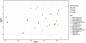 beta diversity shown as nmds plot