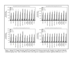 Graph of fungal, bacterial, total PLFA and fungal NLFA biomass.