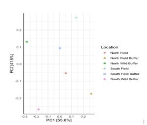 Figure 4. DNA PC Mycorrhizal & Microbial Data