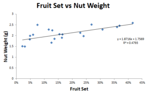 Figure 4. Fruit Set vs Nut Weight