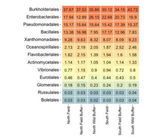 Figure 5. DNA Heat Map.