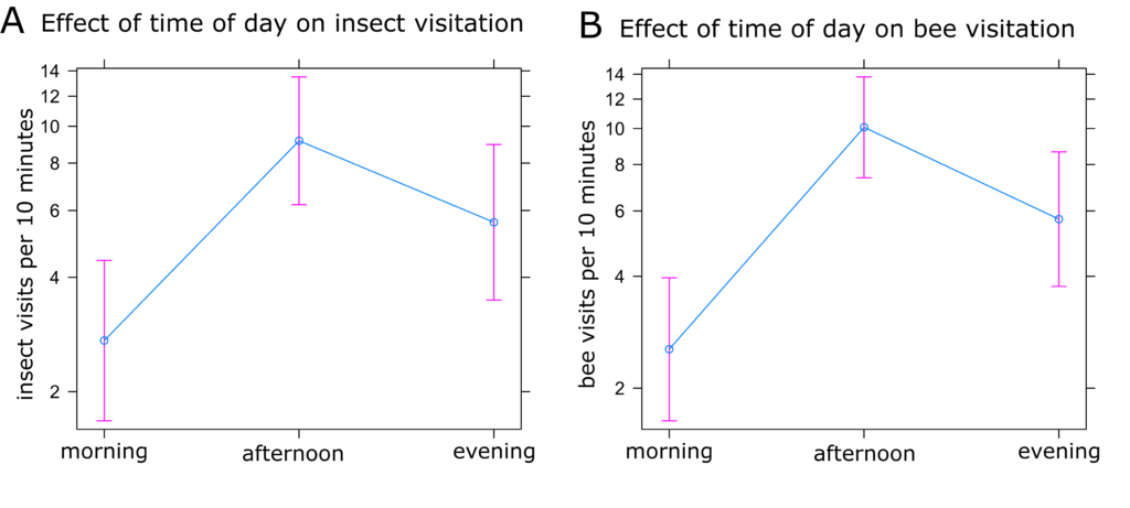 Graphs of insect visitation and bee visitation in the morning, afternoon, and evening