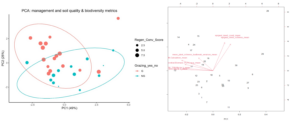 Principle Component Analysis (2022 and 2023 data) for a selection of soil health (SOC, TSN, Haney soil health score, mineralizable carbon, microbial biomass) plant community (mean plant species richness from budbreak and veraison sampling), and epigeal invertebrate metrics (species richness and abundance from budbreak sampling.