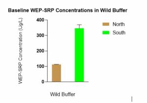 Figure 7. Baseline SRP-WEP Concentrations in Wild Buffer
