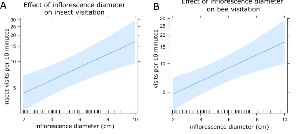 Graphs showing the response of insect and bee visitation to increasing inflorescence width