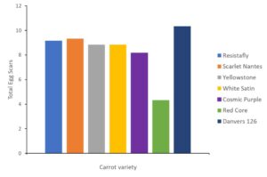 Total egg scars on seven carrot varieties in laboratory trial