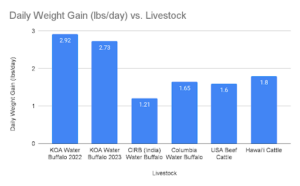 Bar graph describing daily weight gains of KOA Water Buffalo in 2022, KOA Water Buffalo in 2023, C.I.R.B. (India) Water Buffalo, Columbia Water Buffalo, USA Beef Cattle, and Hawai'i Cattle. KOA Water Buffalo 2022 and KOA Water Buffalo 2023 outperform the other categories by at least 1.5 to 1 and up to 2.4 to 1.