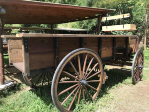 A wooden wagon with driver's seat and benches.