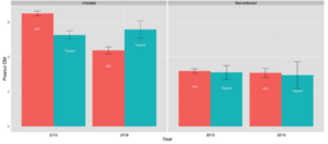 Figure 2. Peanut dry matter yield (kg per plot) of the two peanut cultivars under the RKN infested (right) and non-infested conditions.