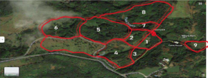 Aerial photograph of KOA Farms with 9 paddocks outlined in red.