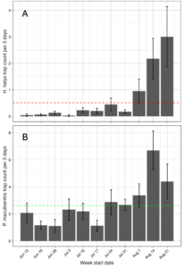 insect trap count graphs