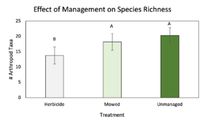 Species richness