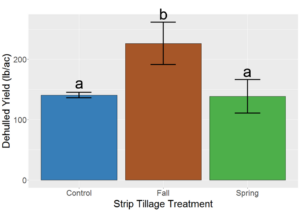 Figure 3: Comparison of Kernza intermediate wheatgrass grain yields subjected to strip-tillage at different times between the third and fourth harvests.  Error bars represent standard error of the mean. Treatments sharing a letter are not significantly different from each other at α = 0.05.