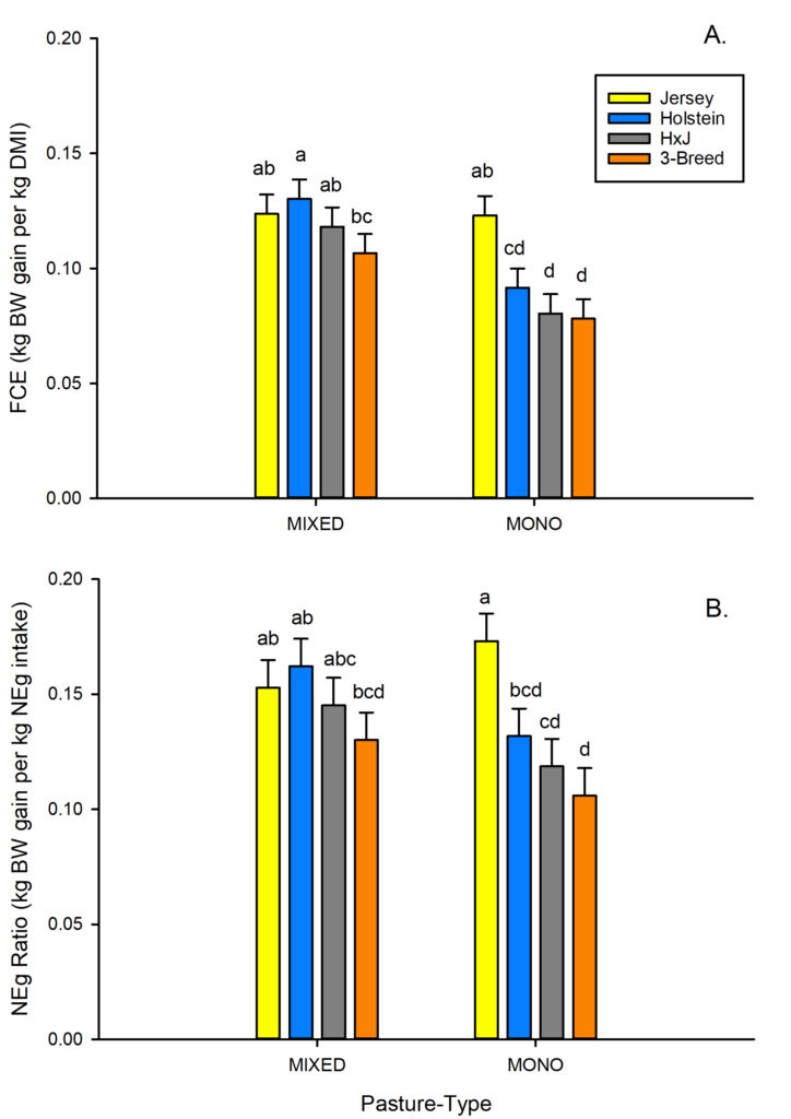 Graph showing feed conversion efficiency comparison between dairy breeds.