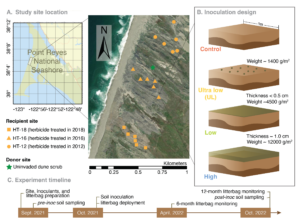 experimental design of Point Reyes soil inoculation experiment