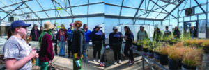 Students from the University of Arizona are visiting greenhouse for seed pellet project