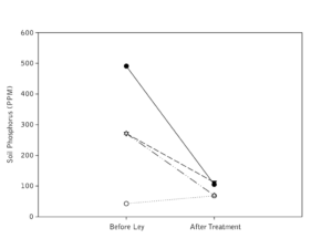 Line graph showing drops in phosphorus in three out of four ley rotation plots during all or part of the grain/vegetable rotation.