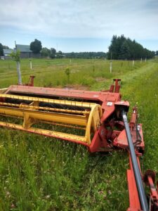 1st cutting hay in intercropped orchard 2022